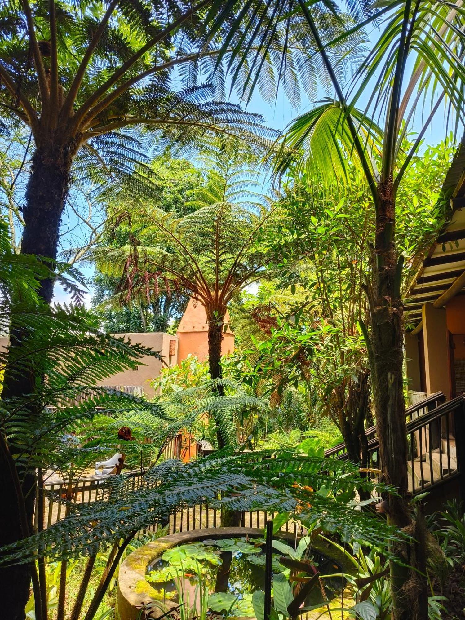 Dar Amane Guest House Граскоп Екстер'єр фото